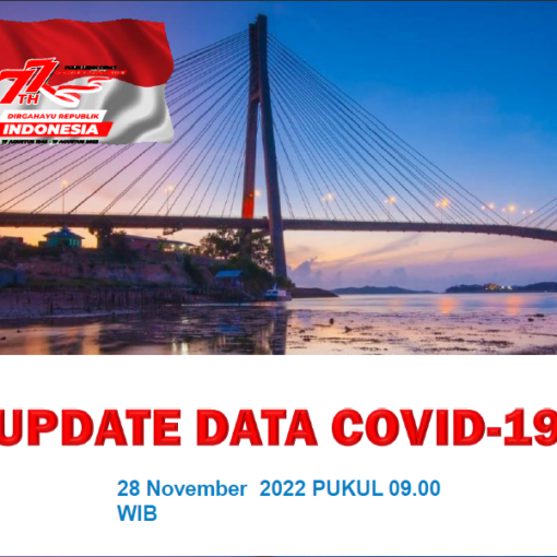 Data Harian Covid-19, 28 November 2022